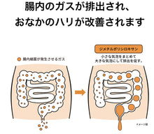 將圖片載入圖庫檢視器 Kowa整腸錠α3+