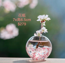 將圖片載入圖庫檢視器 (限定)日本津輕 櫻花玻璃製品系列
