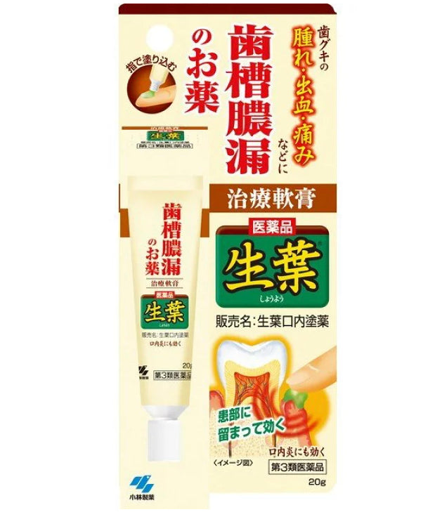 小林製藥 生葉 牙肉發炎 歯槽膿漏軟膏20g