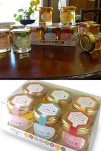 山田養蜂場 家庭蜂蜜套裝30g x 6